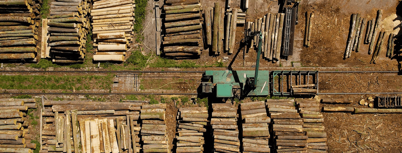 Facing complexity: Empa’s work in TIMBERHAUS